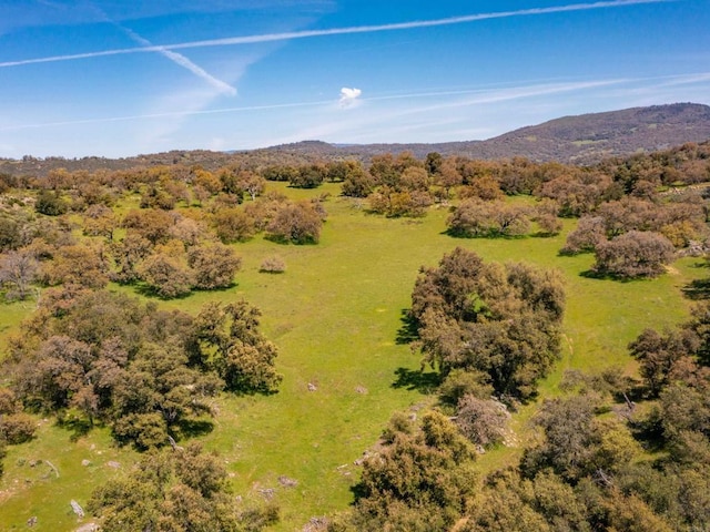 342ACRES Mesa Grande Rd, Santa Ysabel, CA 92070 - photo 13