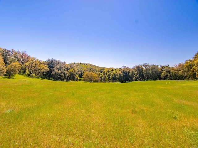 342ACRES Mesa Grande Rd, Santa Ysabel, CA 92070 - photo 38
