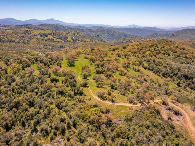 342ACRES Mesa Grande Rd, Santa Ysabel, CA 92070 - photo 28