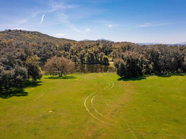 342ACRES Mesa Grande Rd, Santa Ysabel, CA 92070 - photo 21