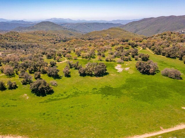 342ACRES Mesa Grande Rd, Santa Ysabel, CA 92070 - photo 18