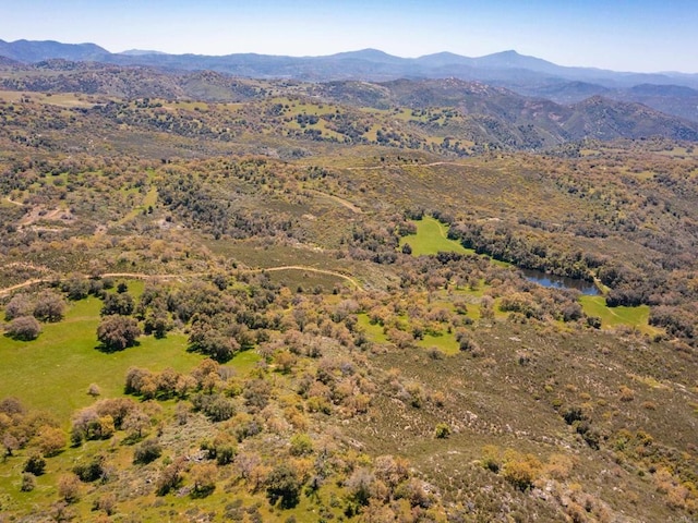 342ACRES Mesa Grande Rd, Santa Ysabel, CA 92070 - photo 39