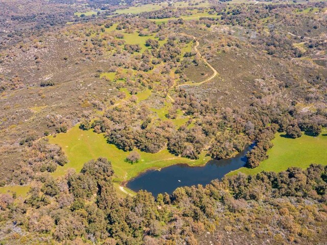 342ACRES Mesa Grande Rd, Santa Ysabel, CA 92070 - photo 12