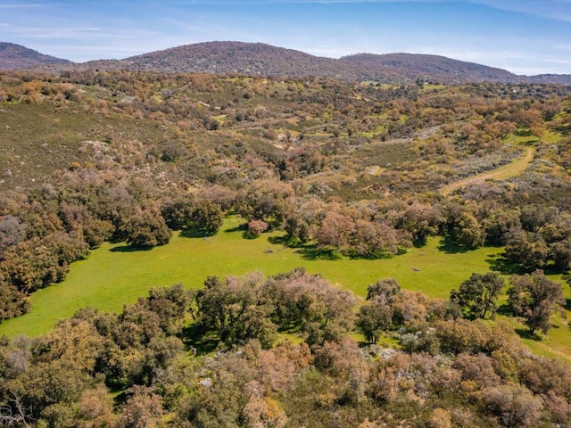 342ACRES Mesa Grande Rd, Santa Ysabel, CA 92070 - photo 11