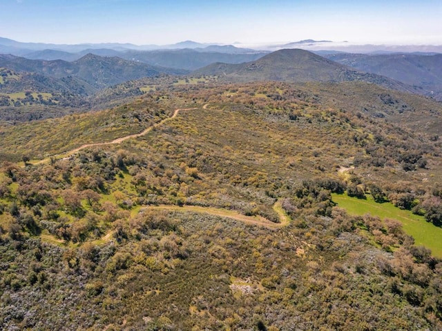 342ACRES Mesa Grande Rd, Santa Ysabel, CA 92070 - photo 23
