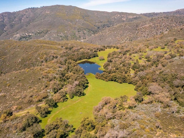 342ACRES Mesa Grande Rd, Santa Ysabel, CA 92070 - photo 10