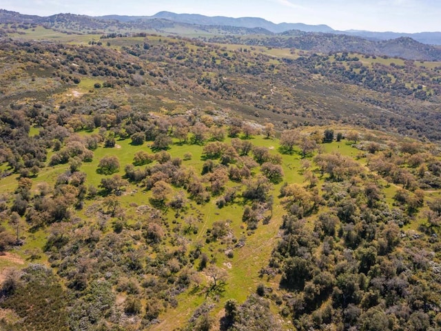 342ACRES Mesa Grande Rd, Santa Ysabel, CA 92070 - photo 22