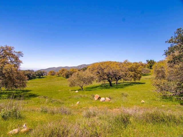 342ACRES Mesa Grande Rd, Santa Ysabel, CA 92070 - photo 32