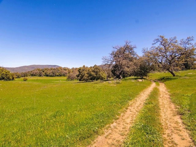 342ACRES Mesa Grande Rd, Santa Ysabel, CA 92070 - photo 17