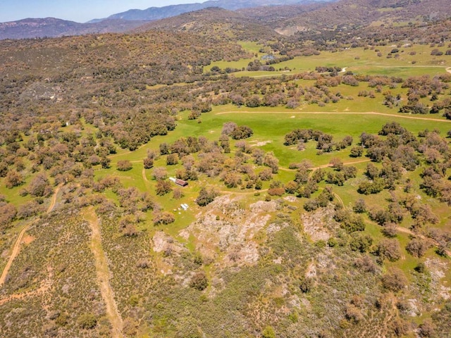 342ACRES Mesa Grande Rd, Santa Ysabel, CA 92070 - photo 40