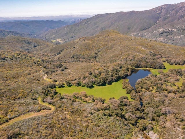 342ACRES Mesa Grande Rd, Santa Ysabel, CA 92070 - photo 9
