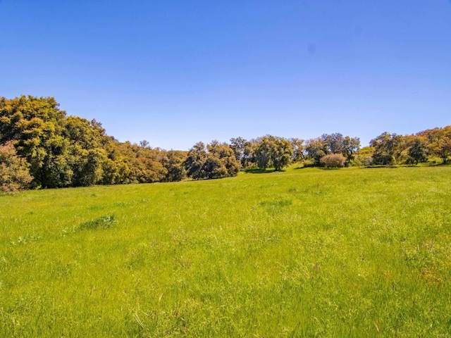342ACRES Mesa Grande Rd, Santa Ysabel, CA 92070 - photo 5
