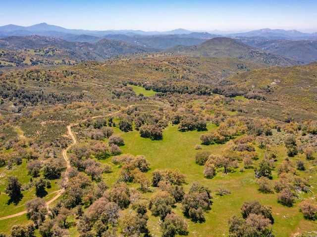 342ACRES Mesa Grande Rd, Santa Ysabel, CA 92070 - photo 31