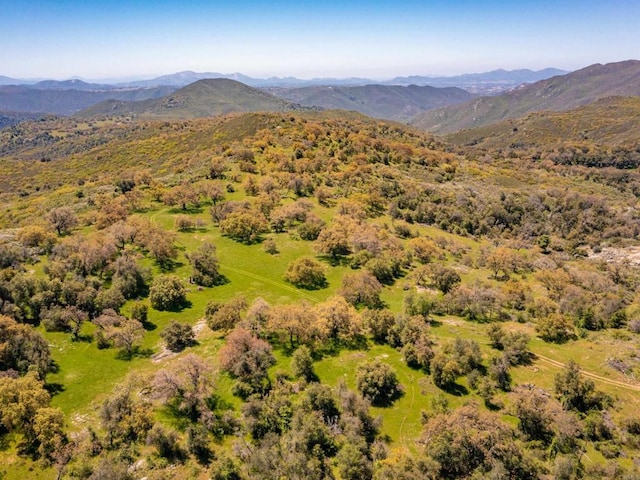 342ACRES Mesa Grande Rd, Santa Ysabel, CA 92070 - photo 30