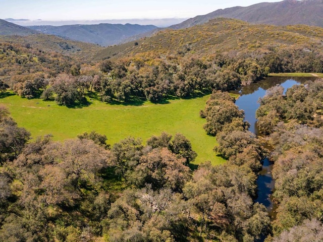 342ACRES Mesa Grande Rd, Santa Ysabel, CA 92070 - photo 34
