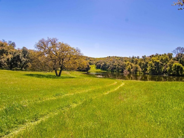 342ACRES Mesa Grande Rd, Santa Ysabel, CA 92070 - photo 4