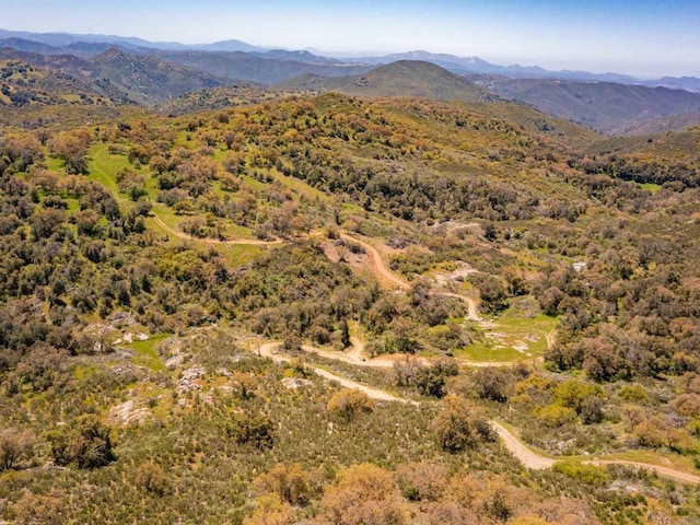 342ACRES Mesa Grande Rd, Santa Ysabel, CA 92070 - photo 29