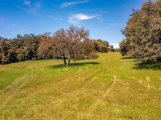 342ACRES Mesa Grande Rd, Santa Ysabel, CA 92070 - photo 20