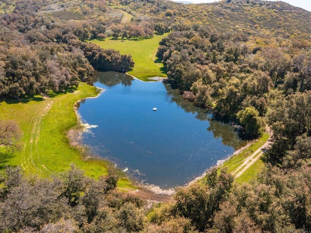 342ACRES Mesa Grande Rd, Santa Ysabel, CA 92070 - photo 41