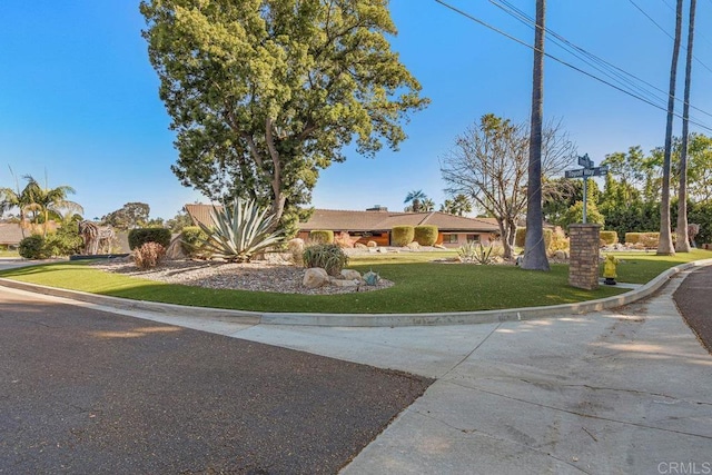 view of front of house with a front yard