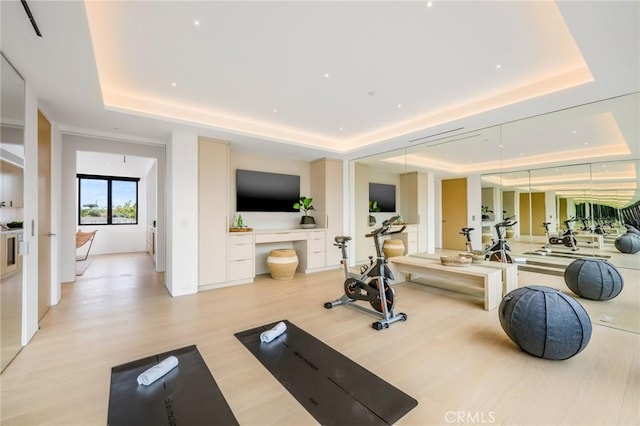 workout area featuring a tray ceiling and light hardwood / wood-style floors