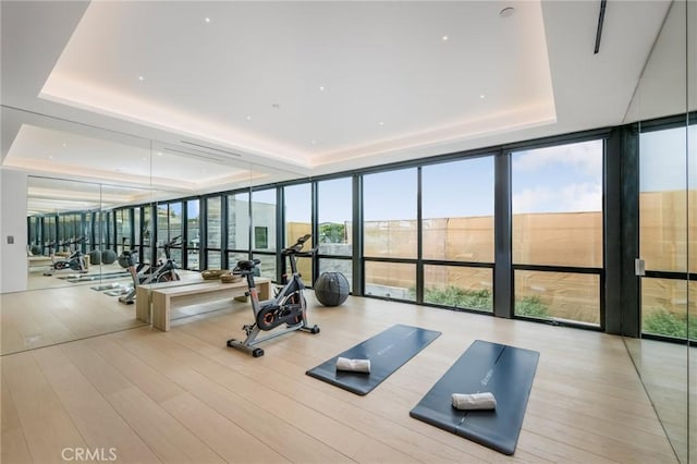 workout area featuring light hardwood / wood-style flooring, a raised ceiling, and expansive windows