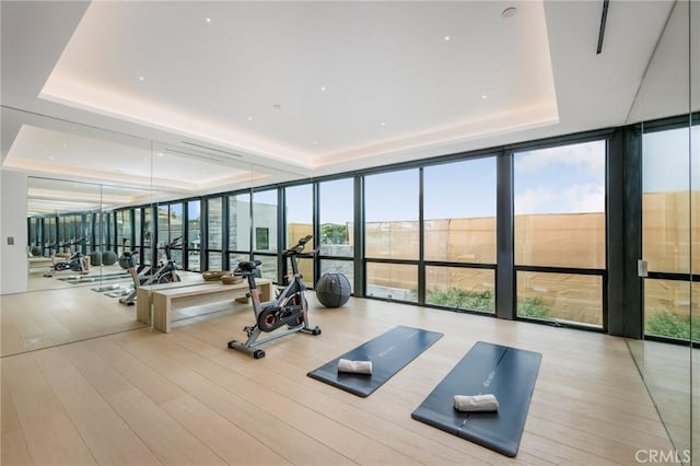 433 Harbor Island Dr, Newport Beach, CA 92660 - gym with floor to ceiling windows, a tray ceiling, and wood finished floors