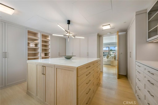433 Harbor Island Dr, Newport Beach, CA 92660 - spacious closet featuring light wood-type flooring