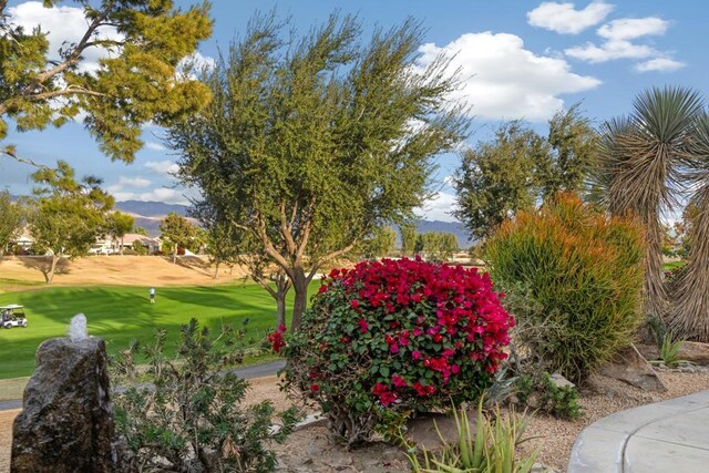 view of community with a mountain view and a yard