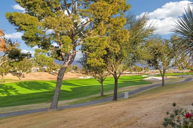 view of property's community featuring a lawn