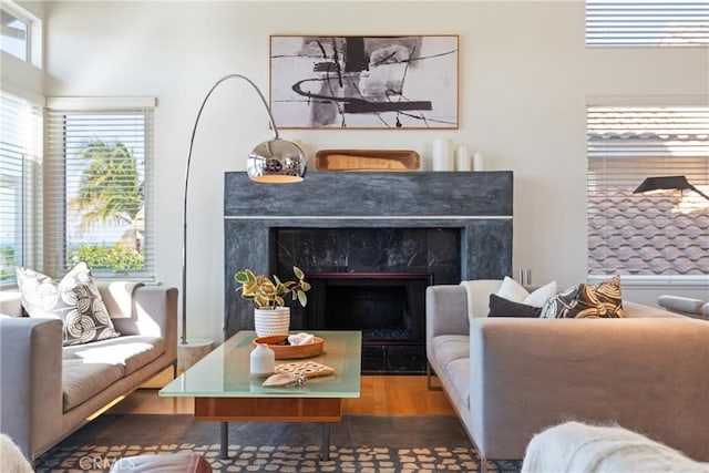 living area with hardwood / wood-style flooring and a high end fireplace