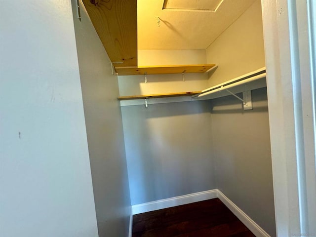 walk in closet featuring wood-type flooring