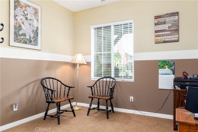 living area featuring carpet flooring