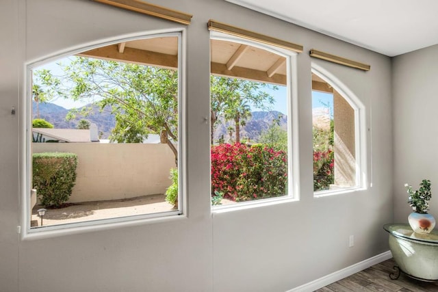 interior space featuring hardwood / wood-style flooring, a mountain view, and plenty of natural light