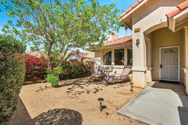 view of yard featuring a patio area