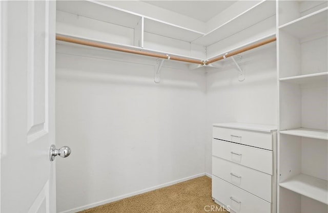 spacious closet featuring light carpet