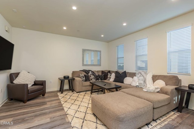 living room featuring light hardwood / wood-style flooring