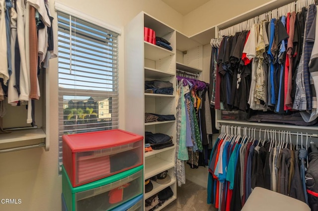 walk in closet featuring carpet