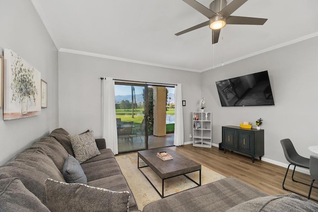 living room featuring ceiling fan, ornamental molding, and light wood-type flooring