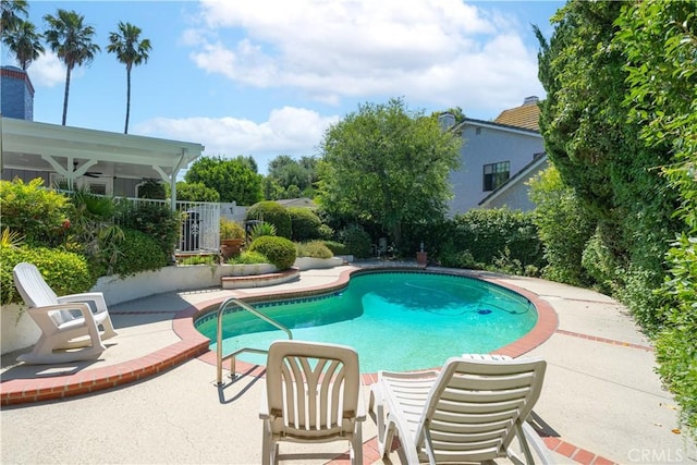 view of pool featuring a patio area