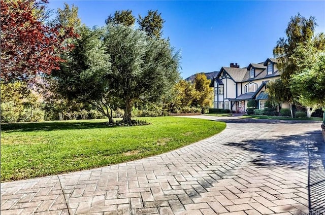 view of property's community featuring a lawn