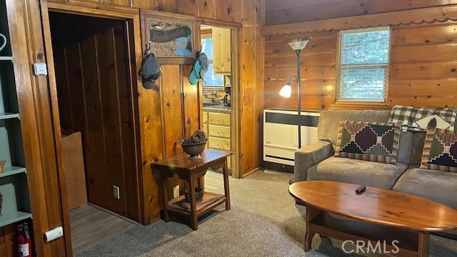 interior space featuring carpet and wooden walls