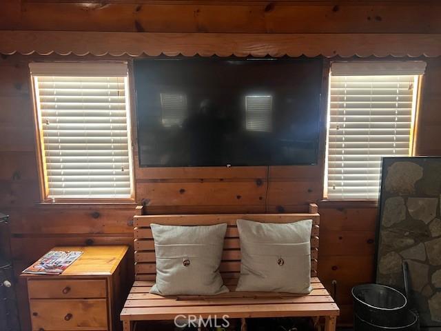 sitting room featuring wood walls