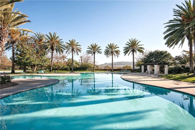 view of swimming pool