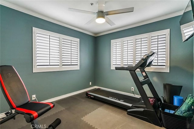 workout room with crown molding and ceiling fan