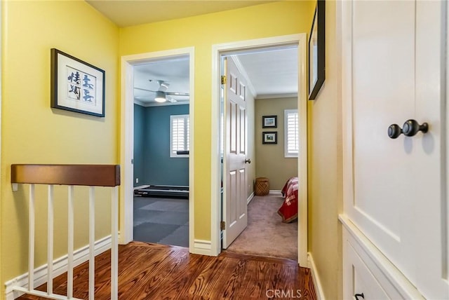 hallway with ornamental molding and dark hardwood / wood-style floors