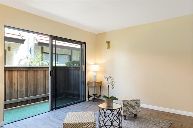 sitting room featuring wood-type flooring