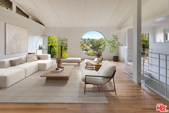 interior space with high vaulted ceiling and light wood-type flooring