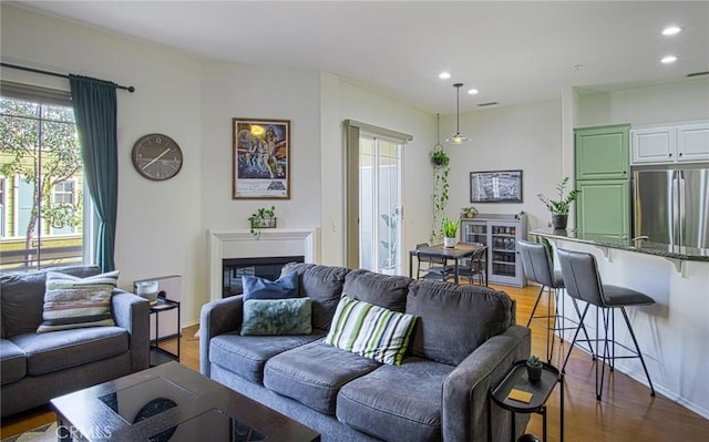 living room with wood-type flooring