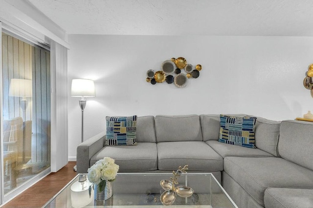 living room featuring hardwood / wood-style floors